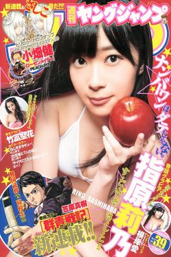 柳舟记2024年新电视剧